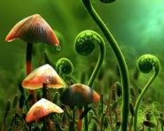 Дезинфекция